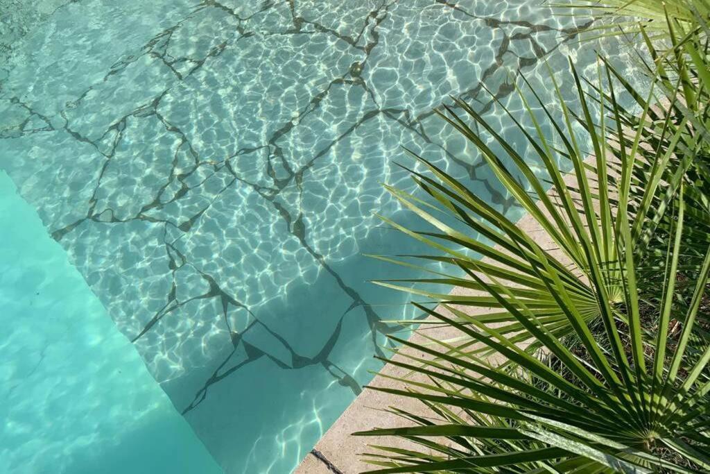 Villa Des Oliviers Avec Piscine Chassagny Bagian luar foto