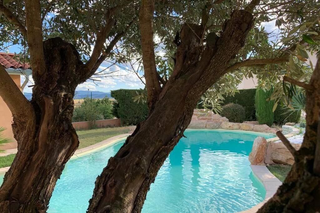 Villa Des Oliviers Avec Piscine Chassagny Bagian luar foto